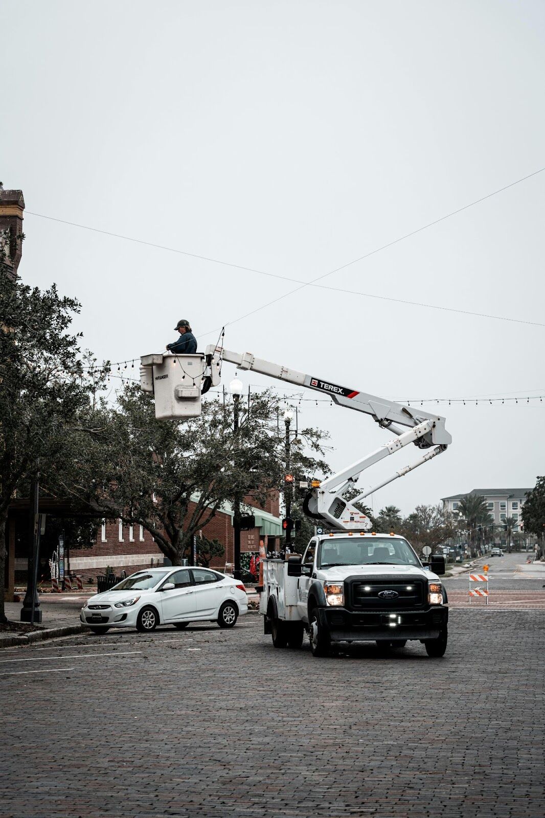 Why Hiring a Professional Tree Removal Service is Worth the Investment